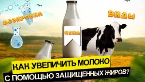 Как увеличить молоко с помощью защищенных жиров? Виды, дозировки, цены — опыт зоотехника!