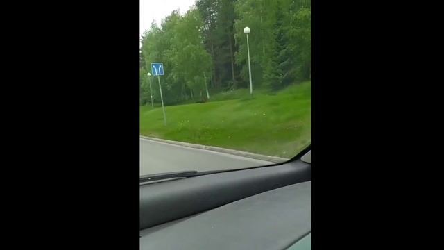 Еду по Городу Костомукша НЕ Большая Экскурсия