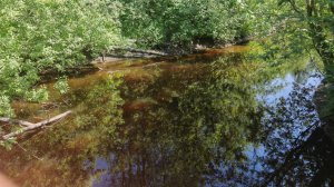 Земельный участок в СНТ Золотое поле село Кашино, Сысертский район!
