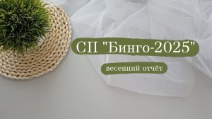 СП "Бинго-2025" отчёт весны. (участник 107). Что успела, что связала и не только.