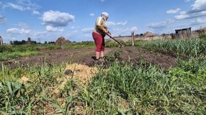 Капусту посадила/ творог сварила на продажу/ заросли грядки