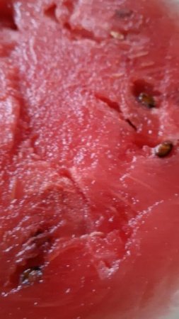Арбуз 🍉