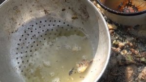 КОМПЛЕКСНАЯ подкормка овощным культурам      ПОДПИШИСЬ