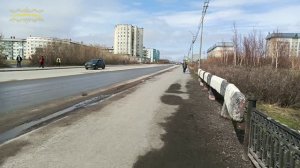 Воркута. 07.06.25. Суббота, шашлычок. 08.06.25. Туман. 09.06.25. Прогулка по тиману