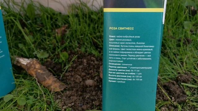Июнь на Даче: Картошка, Цветы, Бассейн и... ГУСИ?