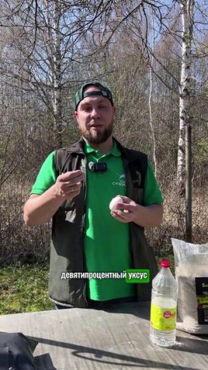 Опасно или нет удобрение из яичной скорлупы и уксуса #сад #дача #огород #комнатныерастения #урожай