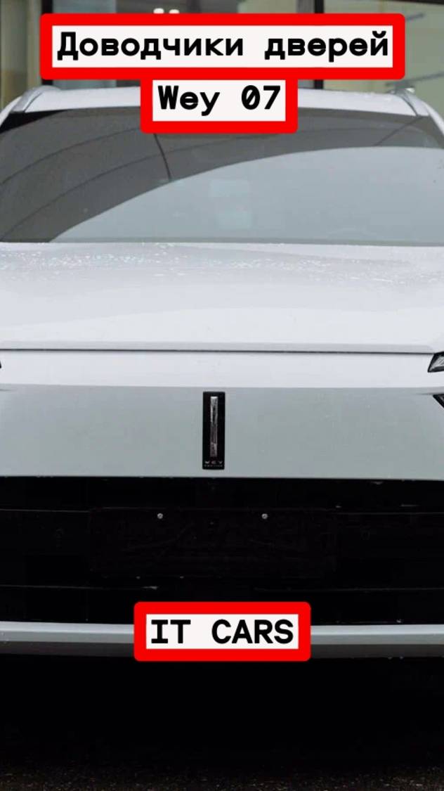 Доводчики автомобильных дверей Wey 07