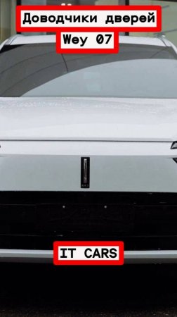 Доводчики автомобильных дверей Wey 07
