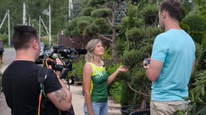 Галина рассказывает про стрижку бонсая в эфире 360