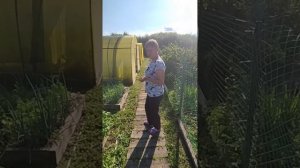 Показываю свой огород весь под мульчей. Что выросло на 01.07