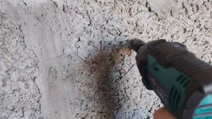 Глухарь в арболит