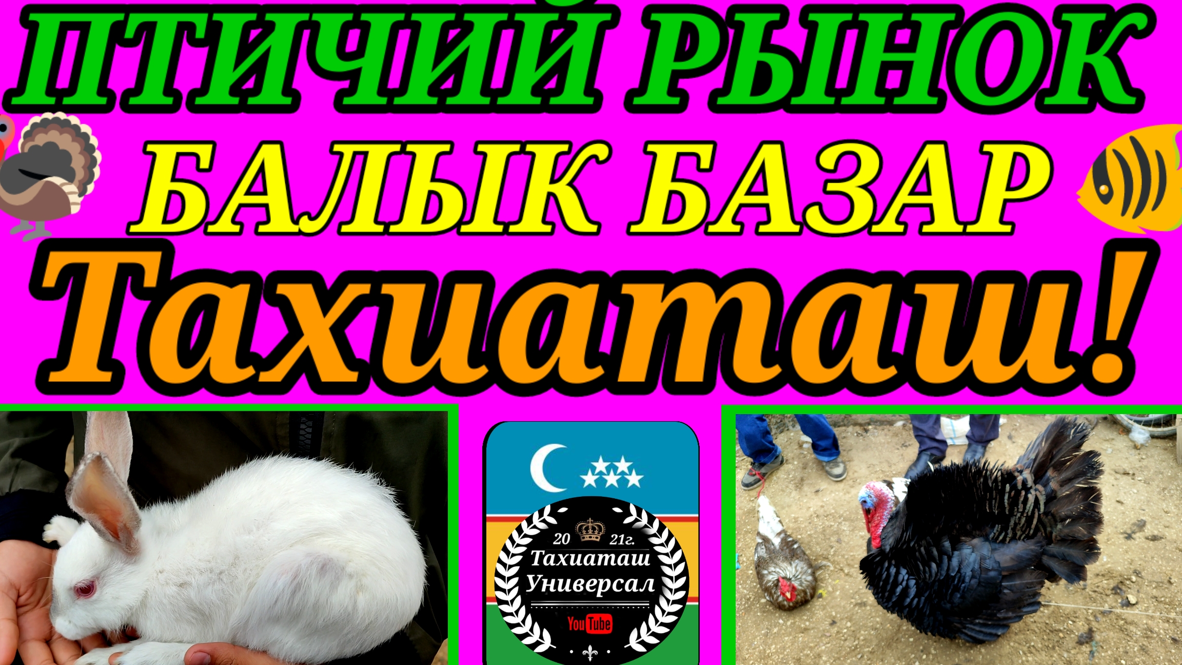 10-06-2025 ПТИЧИЙ РЫНОК -РЫНОК РЫБ