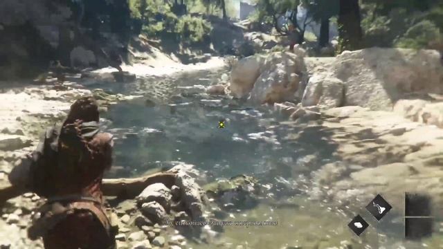 Играем в A Plague Tale Requiem на xbox series s смотреть онлайн