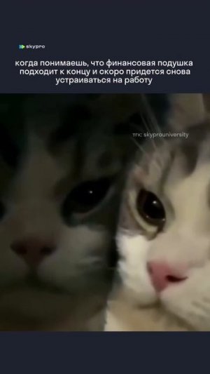 А как было хорошо…