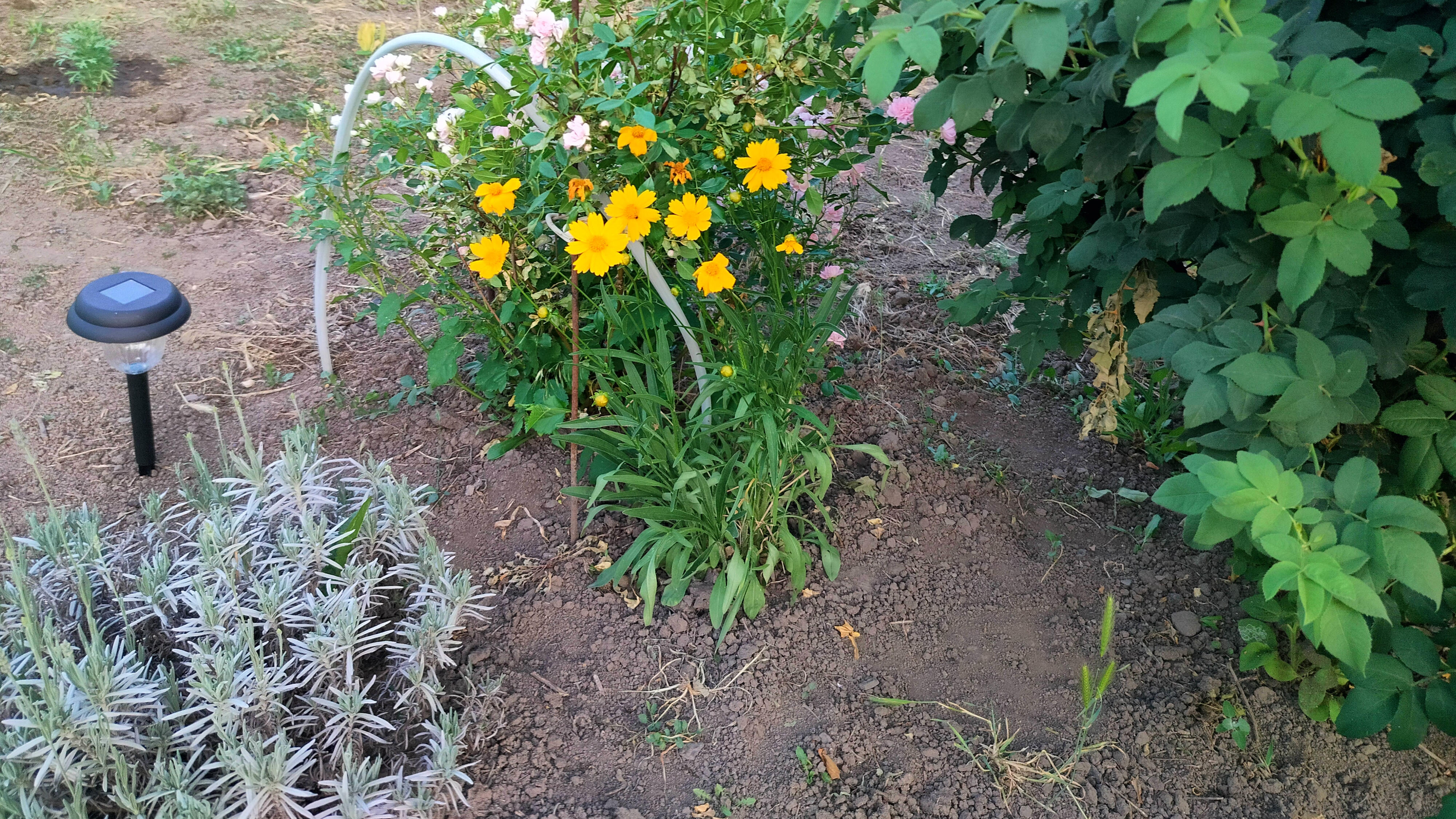 10-06-2025Пекло на улице. Продолжаем ремонт комнаты в старом саманном доме.