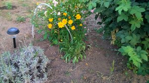 10-06-2025Пекло на улице. Продолжаем ремонт комнаты в старом саманном доме.