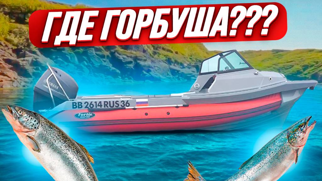 Где горбуша?