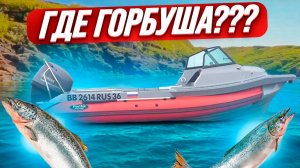 Где горбуша?