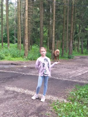 Уезжаю в Белоруссию
