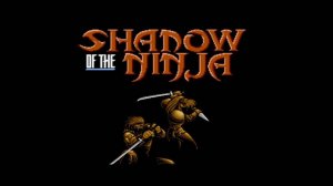 Shadow of the ninja ● Dendy _ Белка и Monster