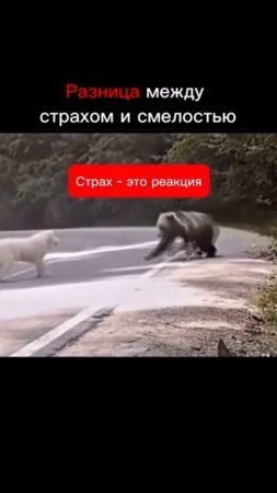 #мотивация #успех #цели #вдохновение #действуй #путькмечте #мотивационныешортс #рутинка #shorts