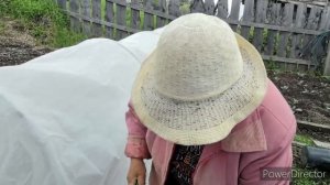 Жизнь аборигенки. Один день из нашей жизни. 8 июня 2025 г.