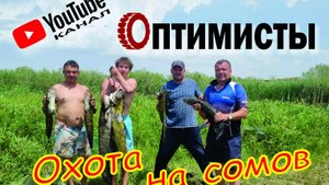 Охота за большими сомами