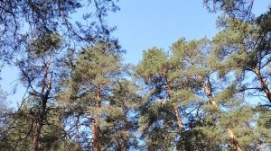 Почему людей не ценят в работе по найму в организации?