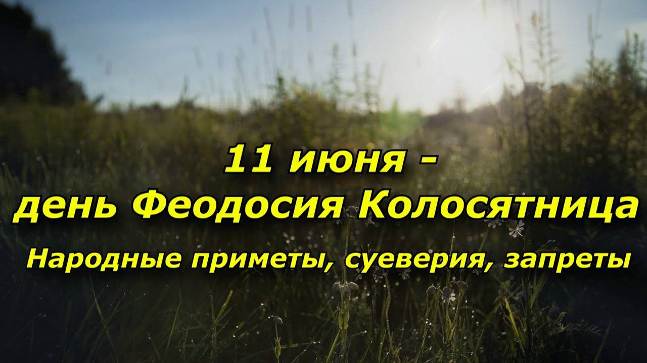 11 июня - день Феодосия Колосятница. Приметы, суеверия, запреты