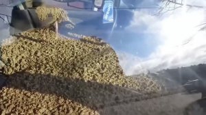 Получили по заслугам