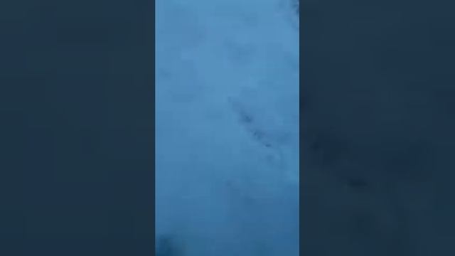 Прыжок через пропасть!!!"крутой паркур на камеру!😎👍 смотреть онлайн