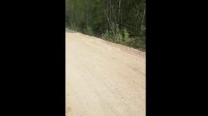 «Валуны-трамплины» на дороге Волома — Муезерский. Активистка из Костомукши Людмила Василица
