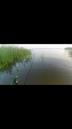 Вот такую рыбалку я люблю.