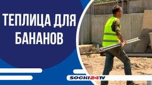 Первая российская банановая теплица строится в селе Веселом
