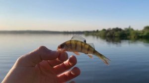 Мормышинг. Снова в поисках полосатого хищника.Шелеховские карьеры.