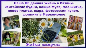Наша НЕ дачная жизнь. Житейские будни, кошка Муся, жара, шитье, новое платье, куклы, шоппинг. Рязан