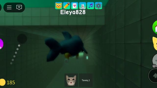 Как достать скин котика акулы бесплатно/roblox смотреть онлайн