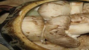 Картофель с грибами в горшочках