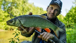Самые лучшие места ловли голавля тут! Ловля голавля в начале лета, где искать, как ловить. [Пора лов