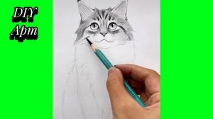 Кошка пошаговая инструкция как нарисовать карандашом. DIY
Арт