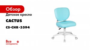 Детское кресло Cactus CS-CHR-3594