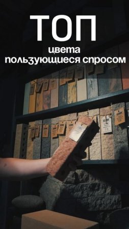 🔥ТОП ЦВЕТА КИРПИЧА СПК #shorts