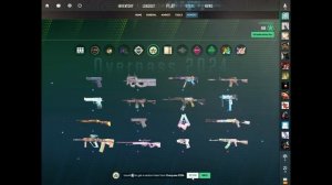 Открыл Коллекцию Overpass 2024 на 1000 Звезд в CS 2