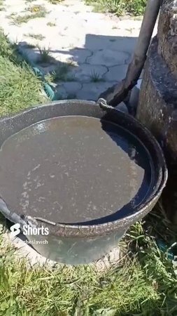 _КУРЯК_ (настой куриного помёта) - лучшее органическое удобрение....