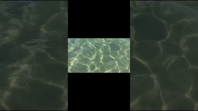 Море.mp4