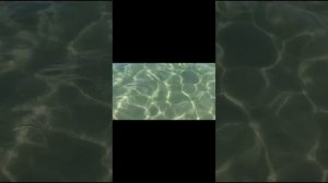 Море.mp4