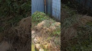🧹🧺🏡 Погоня за концом