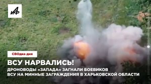 ВСУ нарвались! Дроноводы «Запада» загнали боевиков ВСУ на минные заграждения в Харьковской области