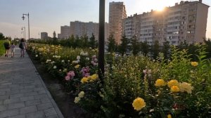 10.06.Один день в Анапе