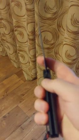 Бодрый Флипп
